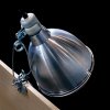 Arcadia Reflector Clamp Lamp (5)