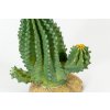 GiganTerra Umělý Kaktus Twist (4)