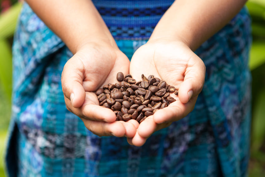 Dobrá káva ✔ Guatemala je Mekkou pěstitelů kávy