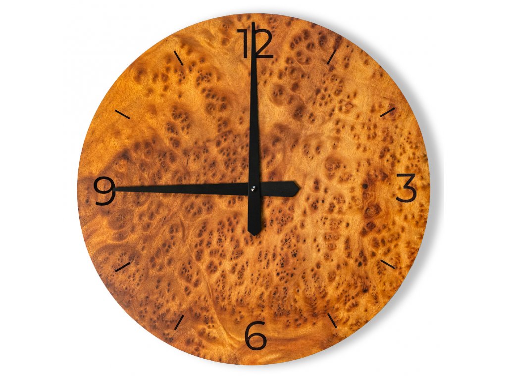 Nástěnné hodiny - Camphora kořenice (Cinnamomum camphora)
