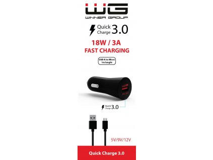 USB Fast Charger 2,4A + MICRO-USB Cable