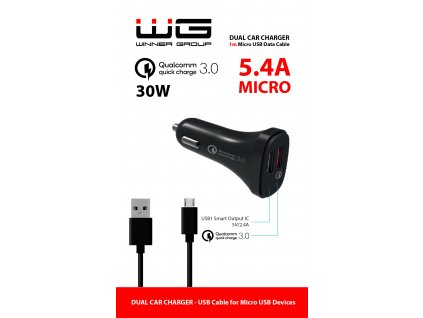 DUAL USB Charger 3,1A + MICRO-USB Cable