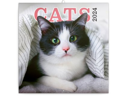 Poznámkový kalendár Mačky 2024, 30 × 30 cm