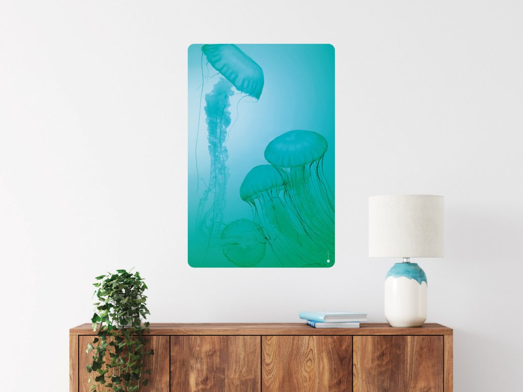 meduzy zasnene plakat samolepici interier
