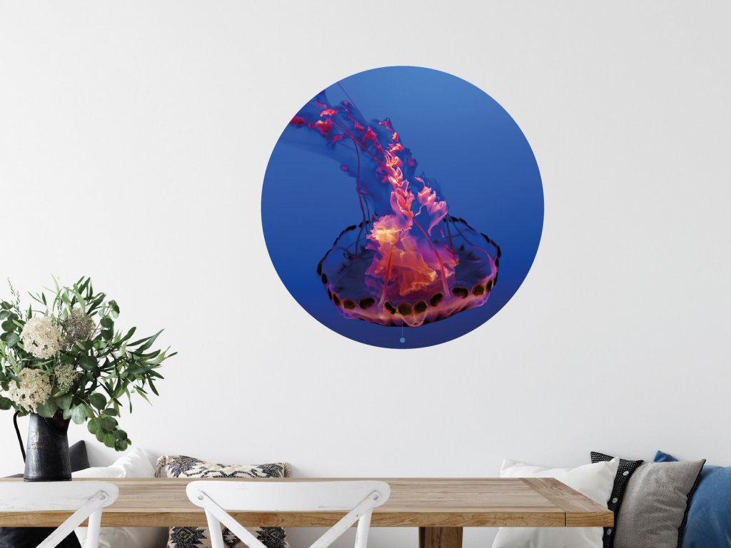 meduza ohen samolepka na zed interier