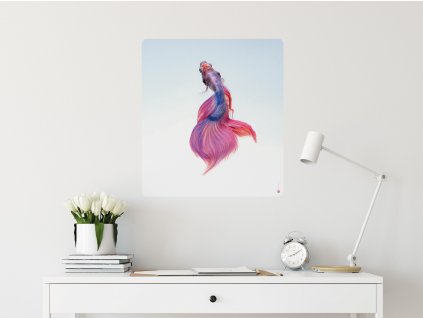 kouzelna rybka plakat samolepici interier