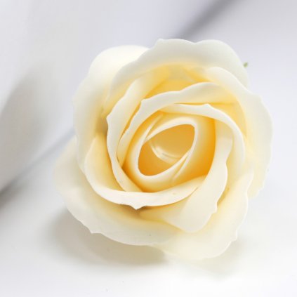 Mýdlový květ růže krémový