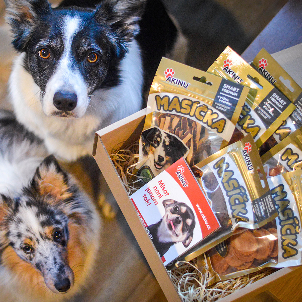 Akinu Masíčka box pro psy Obrázek
