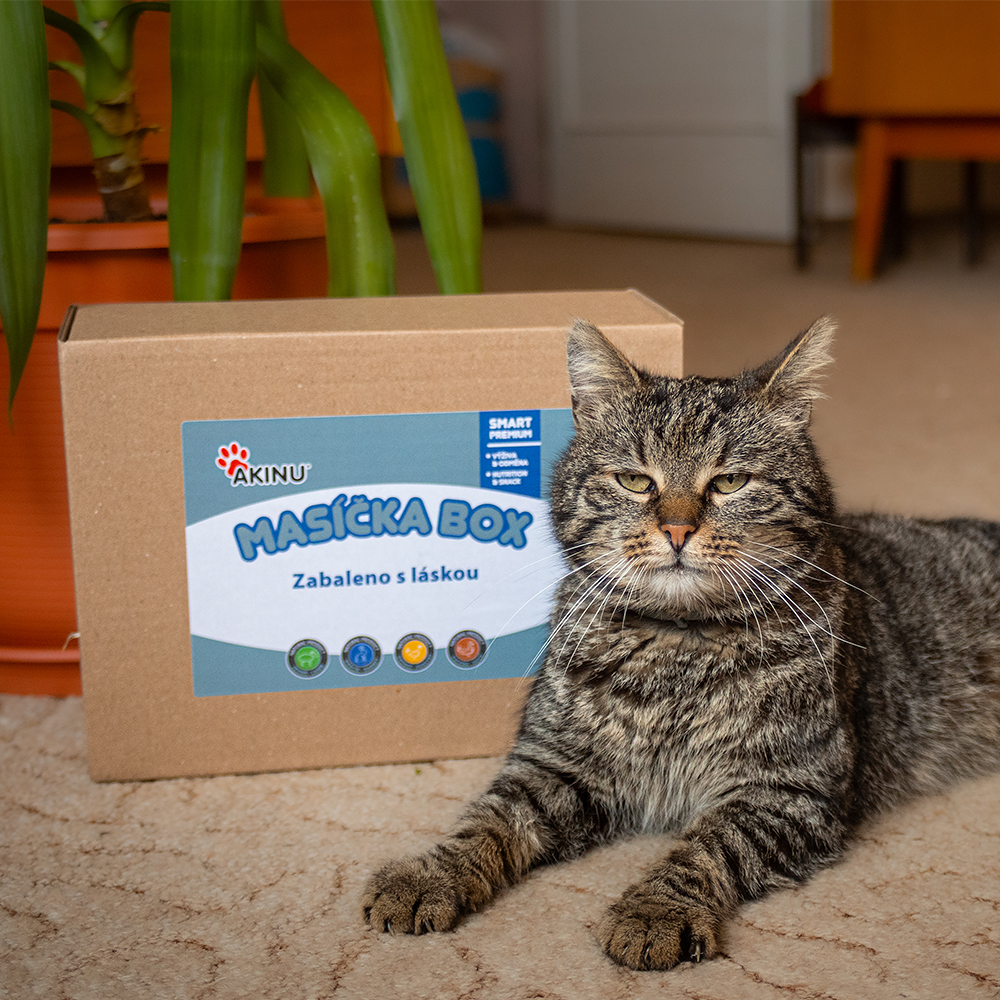 Akinu Masíčka box pro kočky Obrázek
