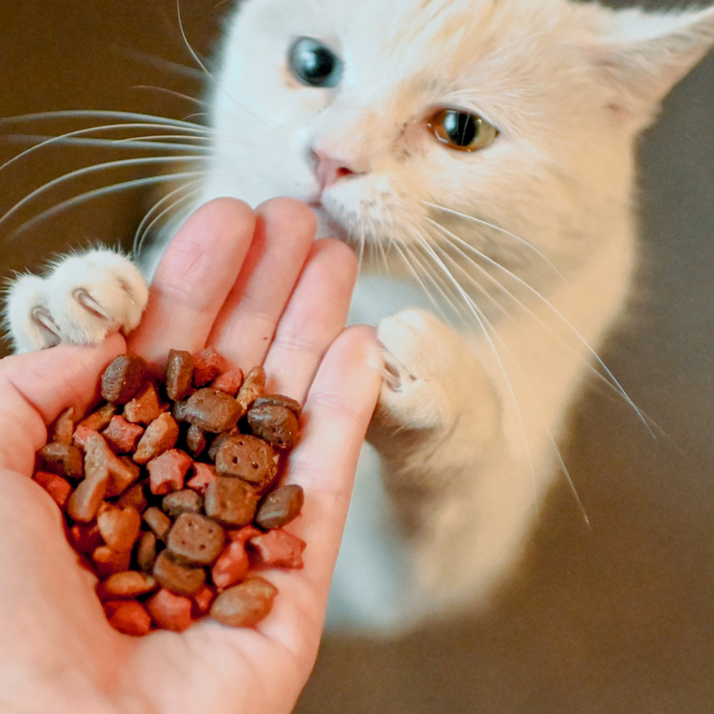 Akinu Crunchies pro kočky 50 g Obrázek