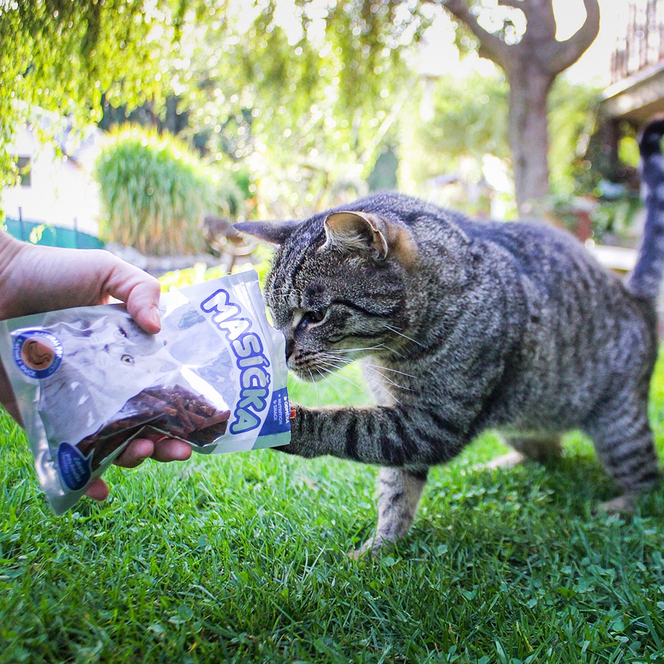 Akinu Masíčka kachní nudličky pro kočky 50 g Obrázek