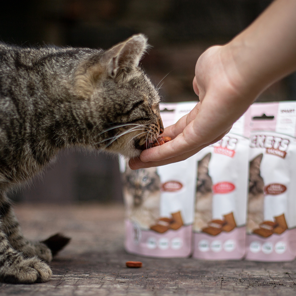 Akinu Pockets kachní polštářky pro kočky 40g Obrázek