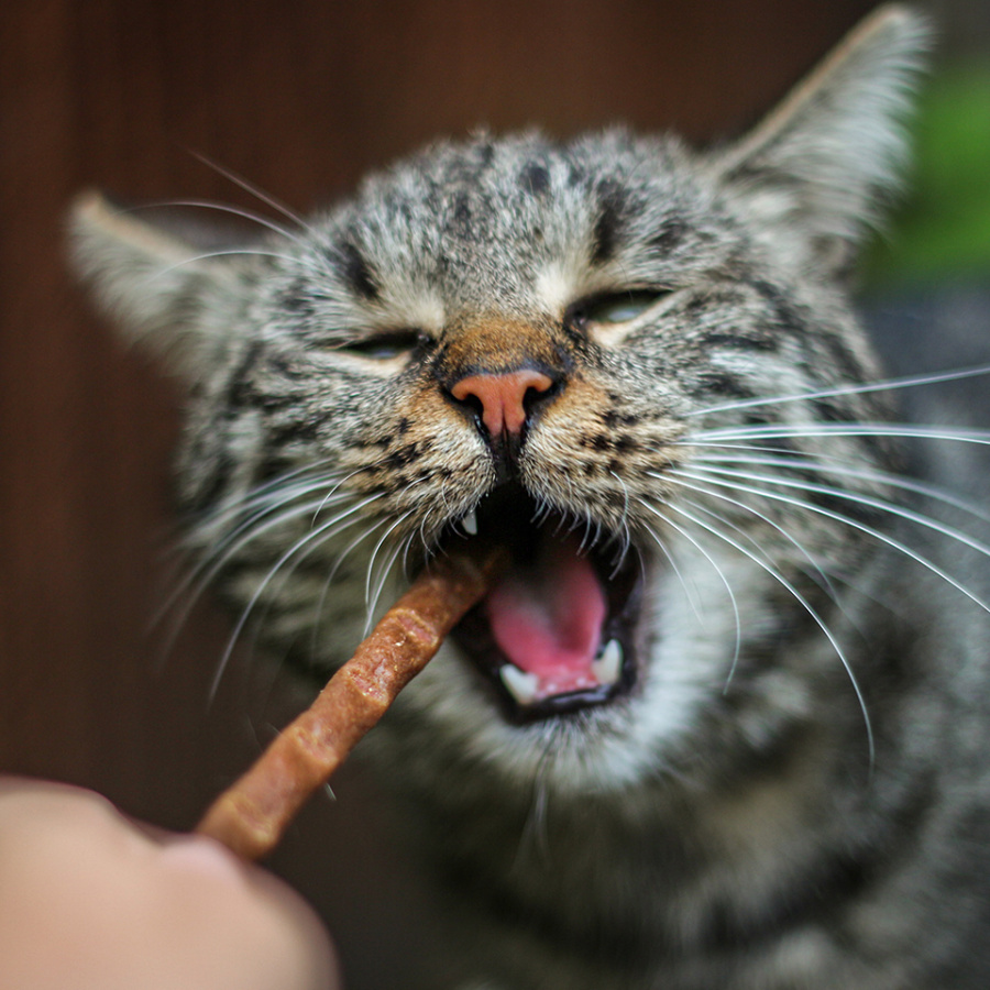 Akinu STICKIES pro kočky krůtí tyčinky 6x5g Obrázek