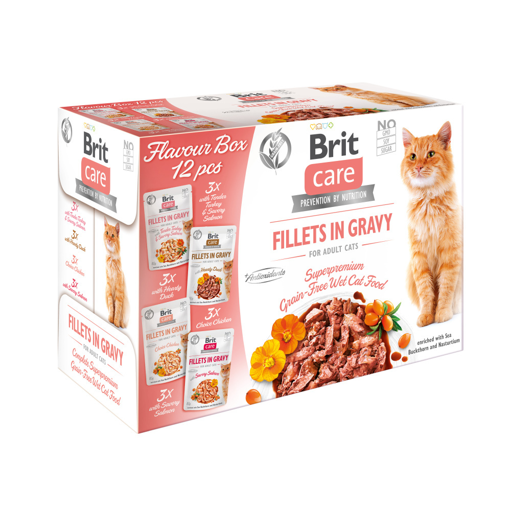 Brit Care Cat Fillets Gravy Flavour box 4*3psc(12*85g) Obrázek