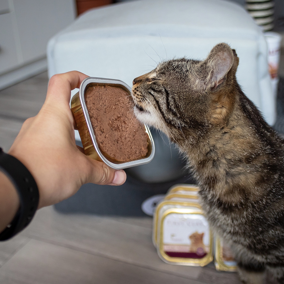 First Class 100g paštika se zvěřinou pro kočky Obrázek