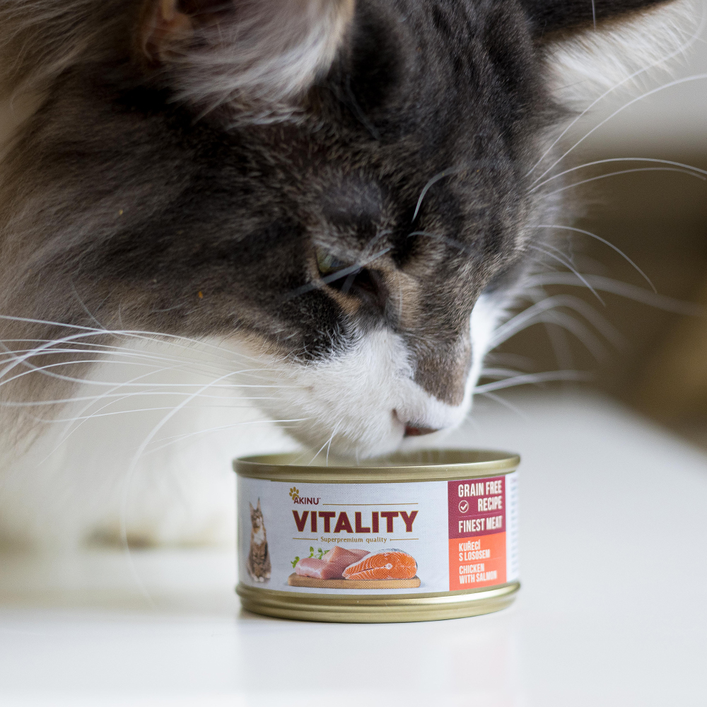 Akinu VITALITY kuřecí s lososem pro kočky 70 g Obrázek