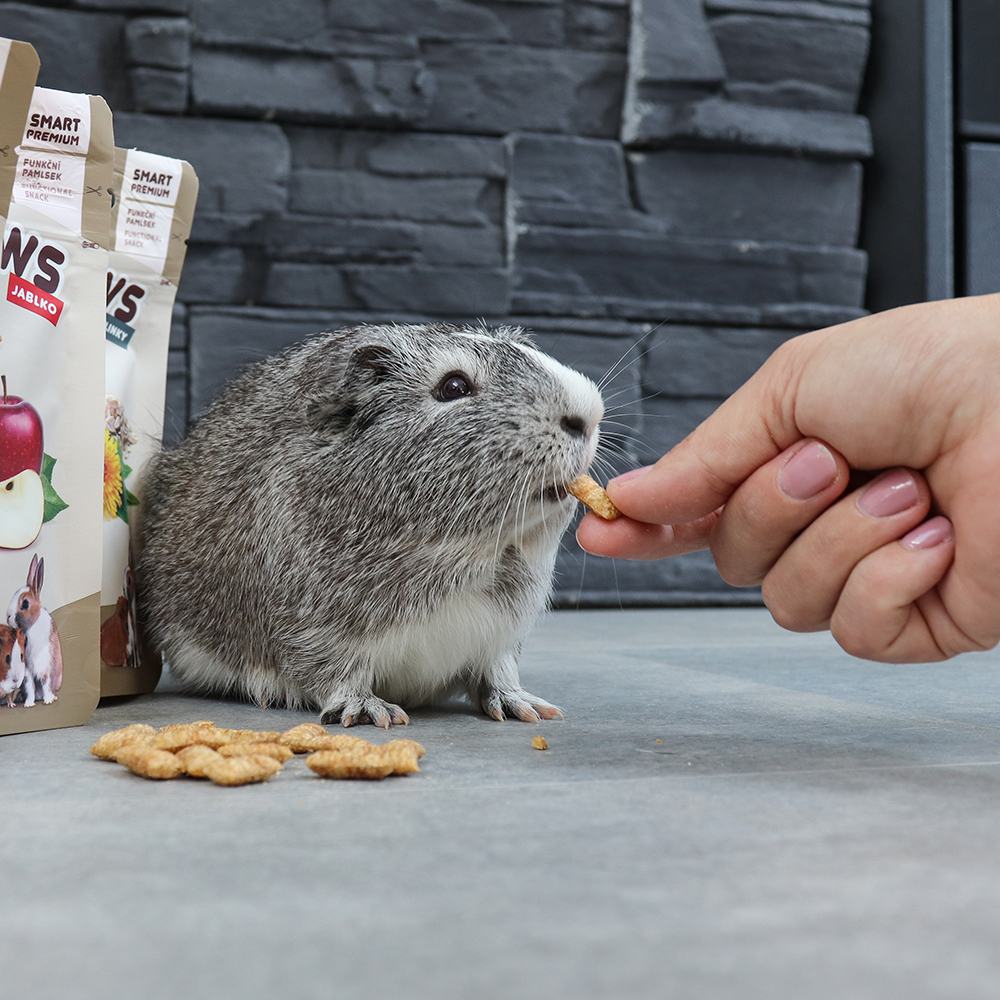 Akinu Pillows polštářky s bylinkami pro hlodavce 40g Obrázek