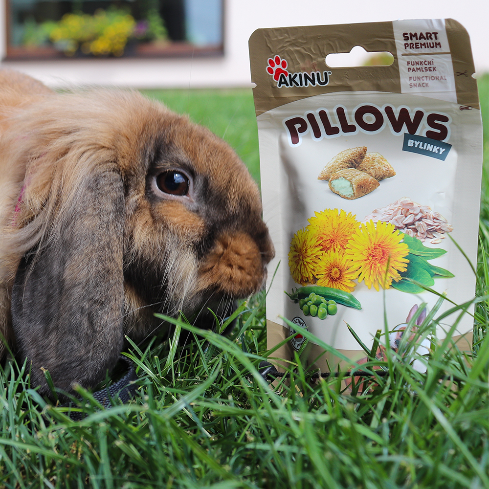 Akinu Pillows polštářky s bylinkami pro hlodavce 40g Obrázek