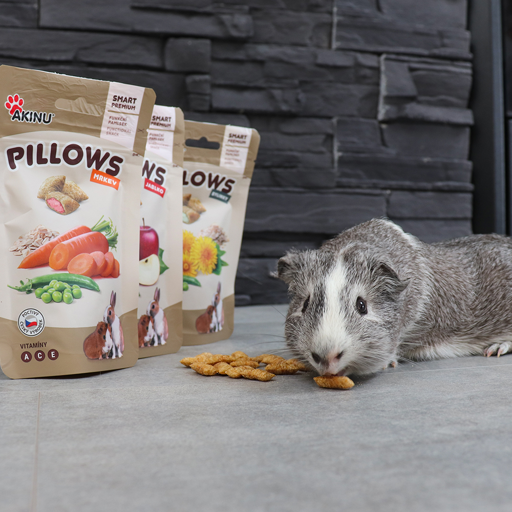 Akinu Pillows polštářky s mrkví pro hlodavce 40g Obrázek