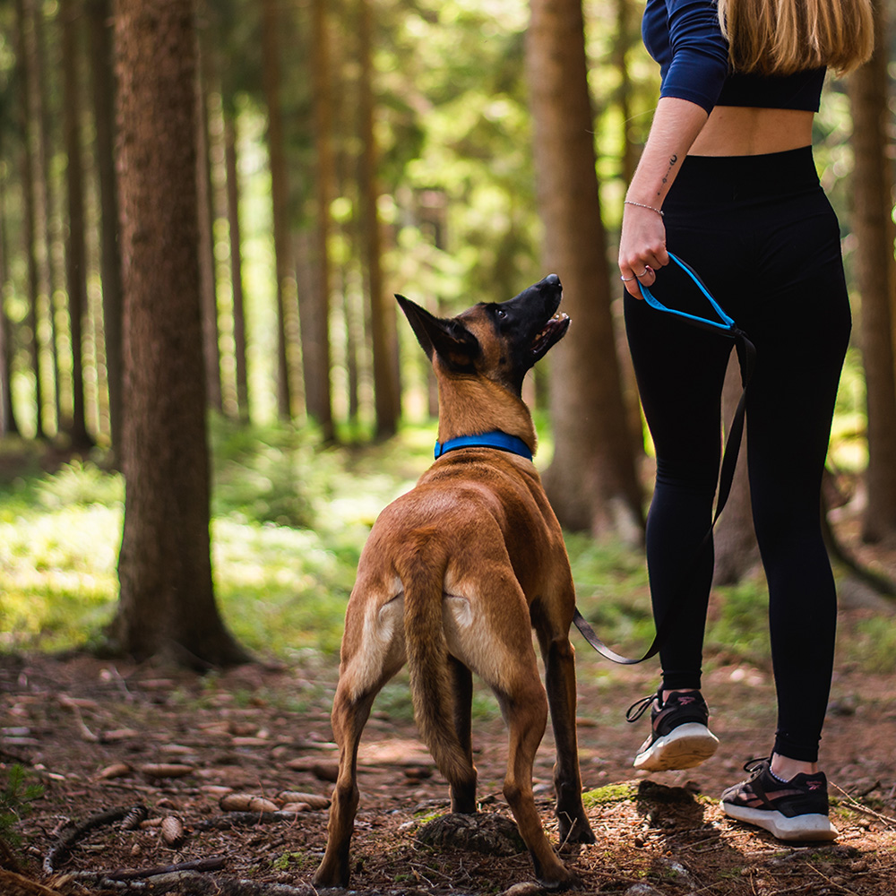 Akinu Obojek modrý M, 35-45 cm Obrázek