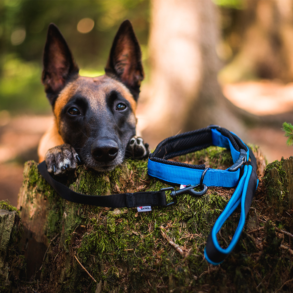 Akinu Obojek modrý M, 35-45 cm Obrázek