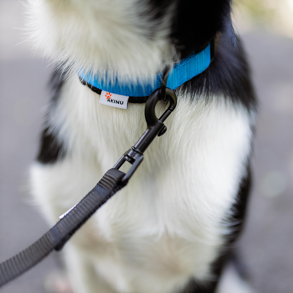 Akinu Obojek modrý S, 25-35 cm Obrázek