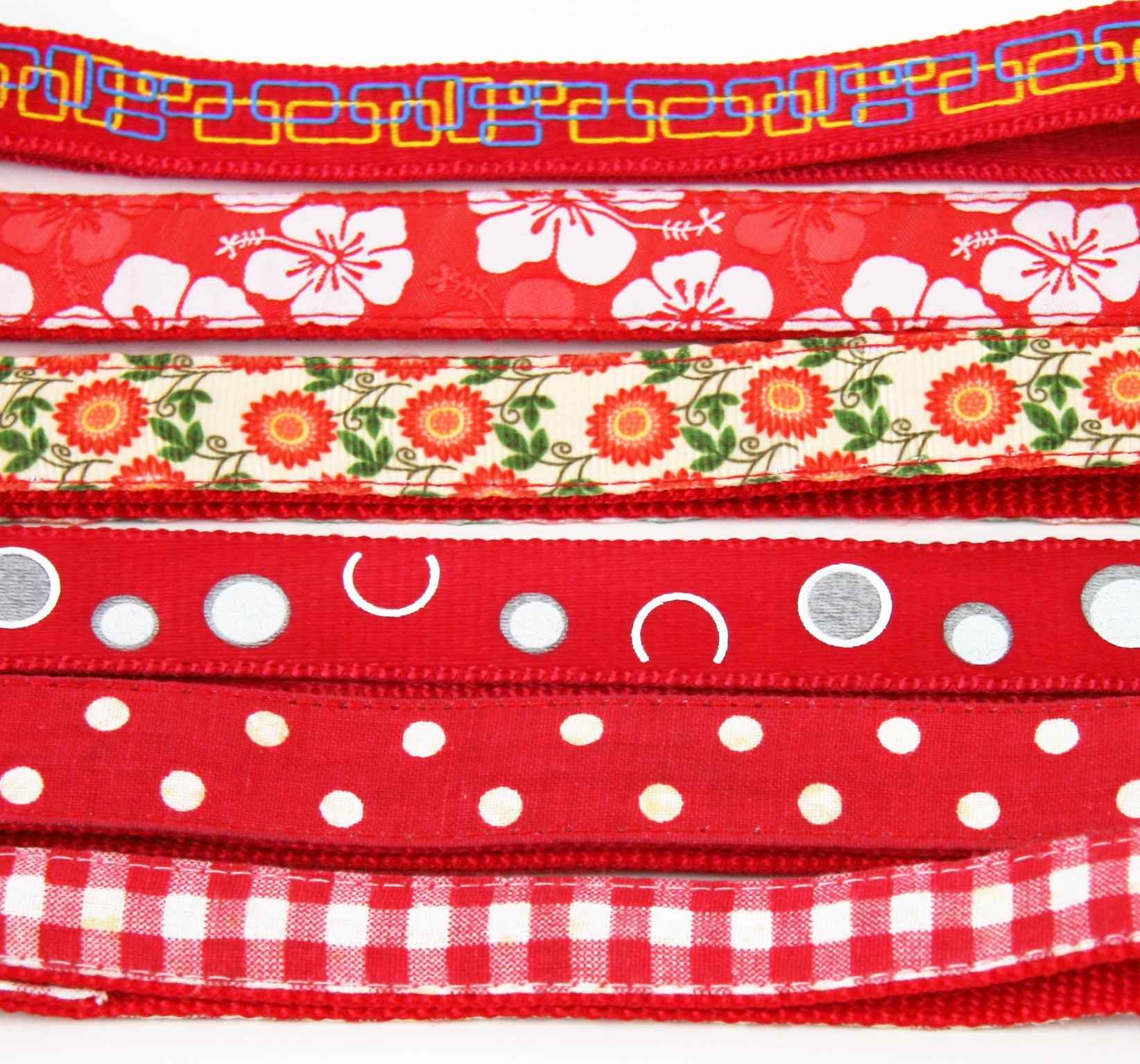 Akinu obojek nylon BASIC červený 2,5x45-65cm Obrázek