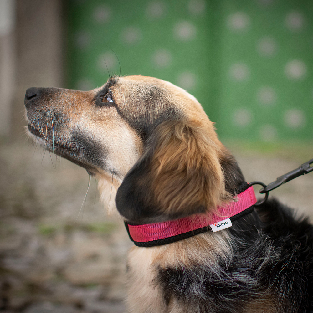 Akinu Obojek růžový M, 35-45 cm Obrázek