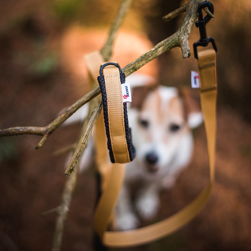 Akinu Obojek zlatý L, 45-60 cm Obrázek