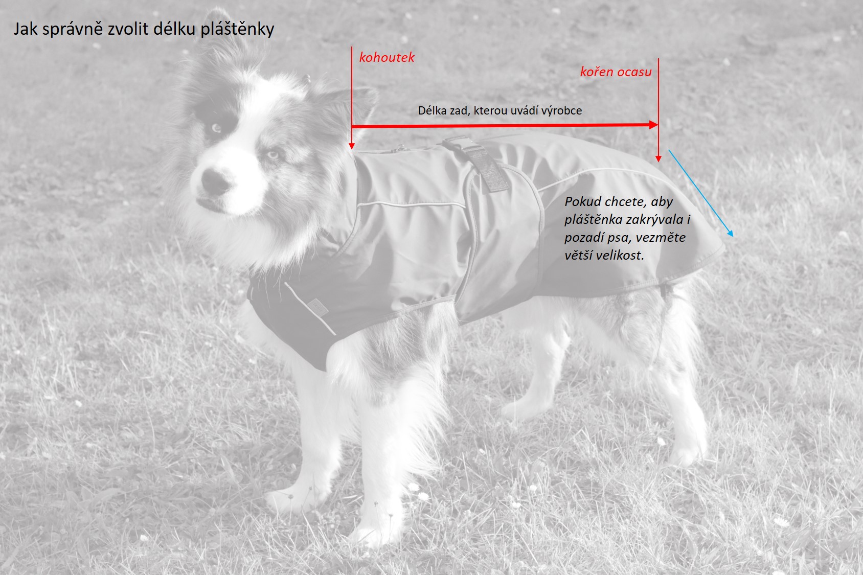 Trixie Pláštěnka Tarbes S 34 cm Obrázek