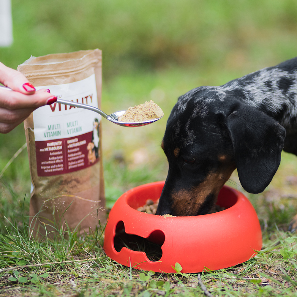 Akinu VITALITY Multivitamín doplněk stravy pro psy 250 g Obrázek