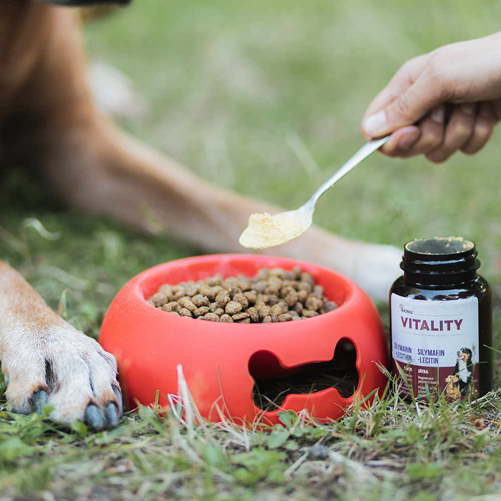 Akinu VITALITY Silymarin-Lecitin doplněk stravy pro psy 50 g Obrázek