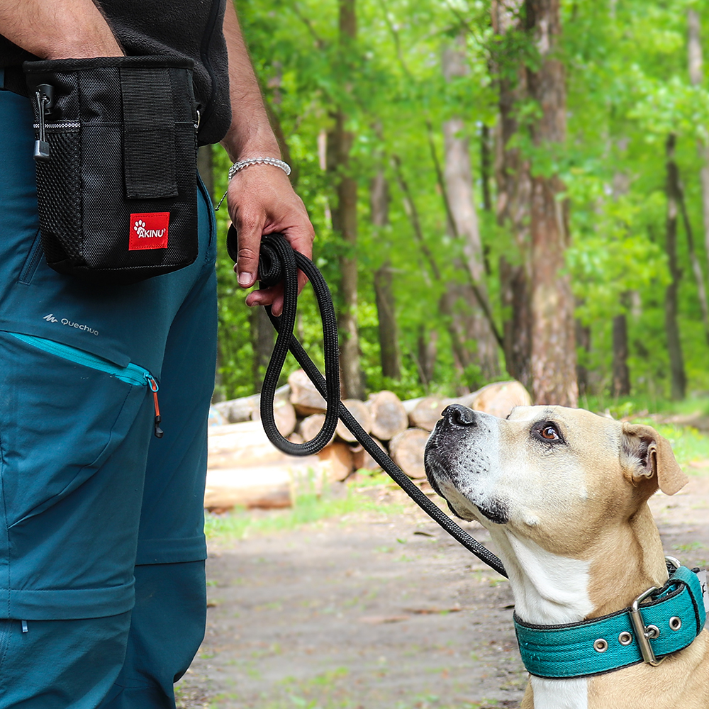 Akinu pamlskovník černý 16,5x12x7,5cm Obrázek
