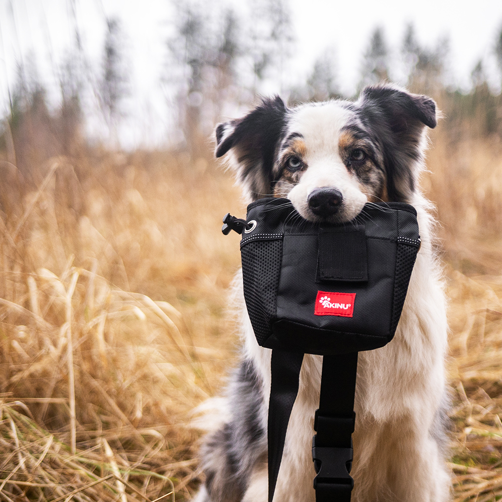 Akinu pamlskovník černý 16,5x12x7,5cm Obrázek