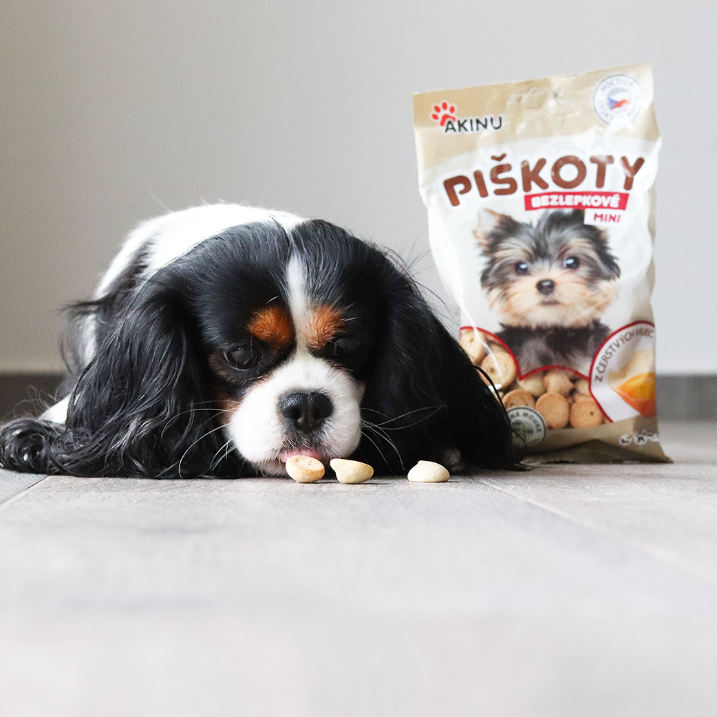 Akinu Piškoty bezlepkové mini pro psy 120g Obrázek