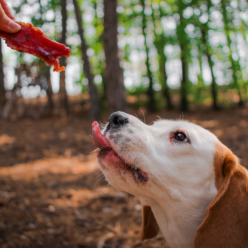 Akinu Masíčka hovězí stripsy pro psy 300 g Obrázek