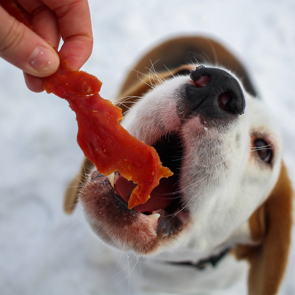 Akinu Masíčka kachní prsíčka pro psy 300 g Obrázek