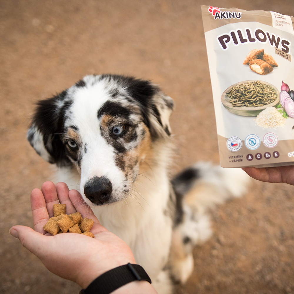 Akinu Pillows polštářky s moučným červem a cibulí pro psy 80g Obrázek