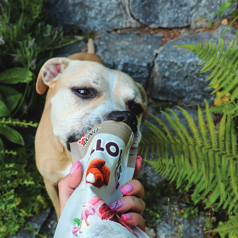 Akinu Pillows polštářky se slaninou a česnekem pro psy 80g Obrázek