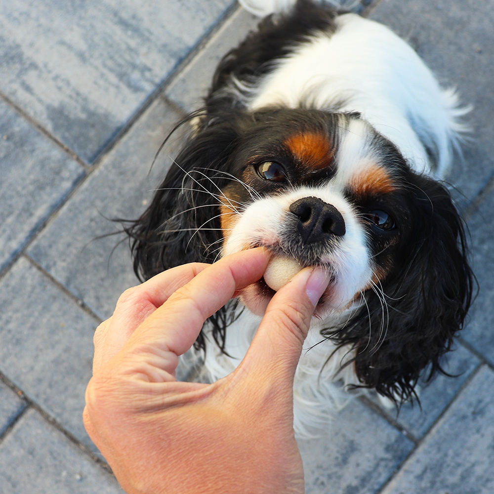 Akinu Piškoty mini s vápníkem 120g Obrázek
