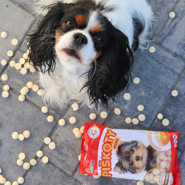 Akinu Piškoty mini s vápníkem 120g Obrázek