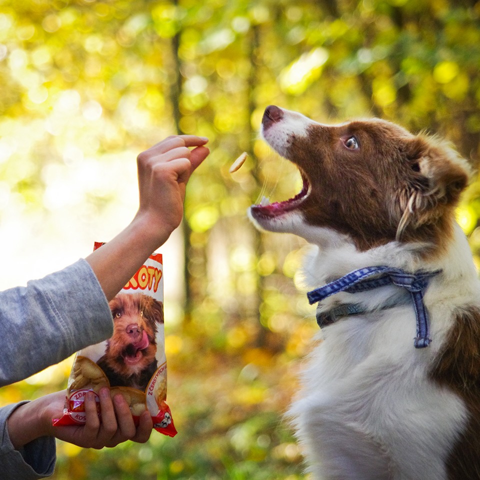 Akinu Piškoty s vápníkem 120g Obrázek