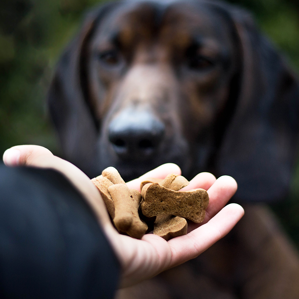 Akinu sušenka KOSTI se zinkem 400g Obrázek