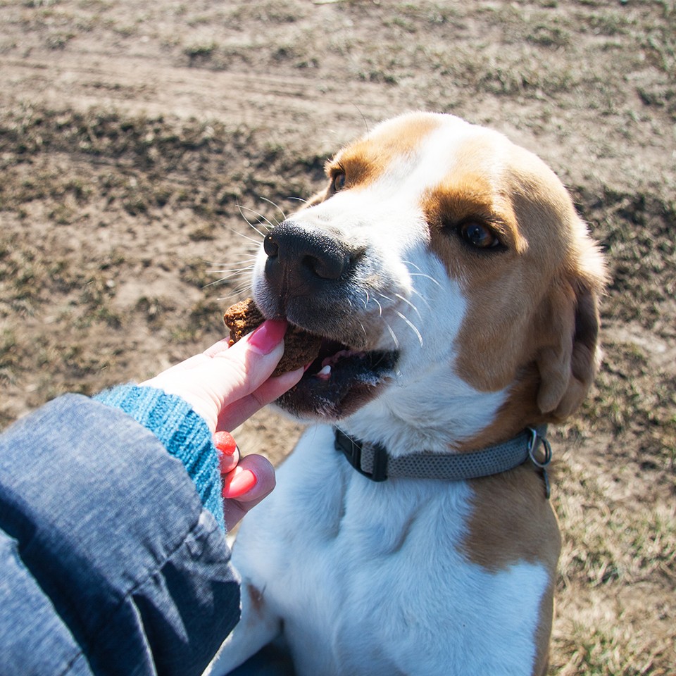 Akinu tlapky poloměkké 400g Obrázek