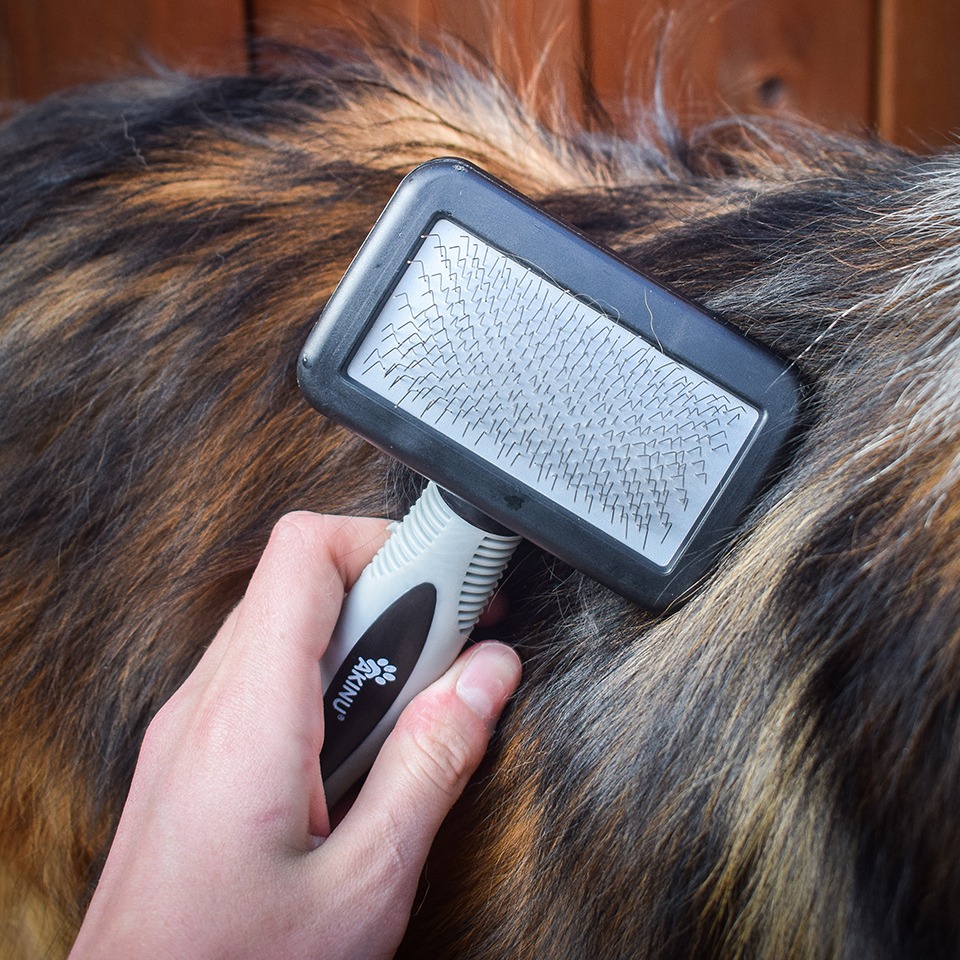 Akinu vyčesávací kartáč pro dlouhosrsté malé psy a kočky Obrázek