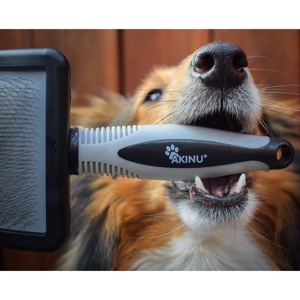 Akinu vyčesávací kartáč pro dlouhosrsté malé psy a kočky Obrázek