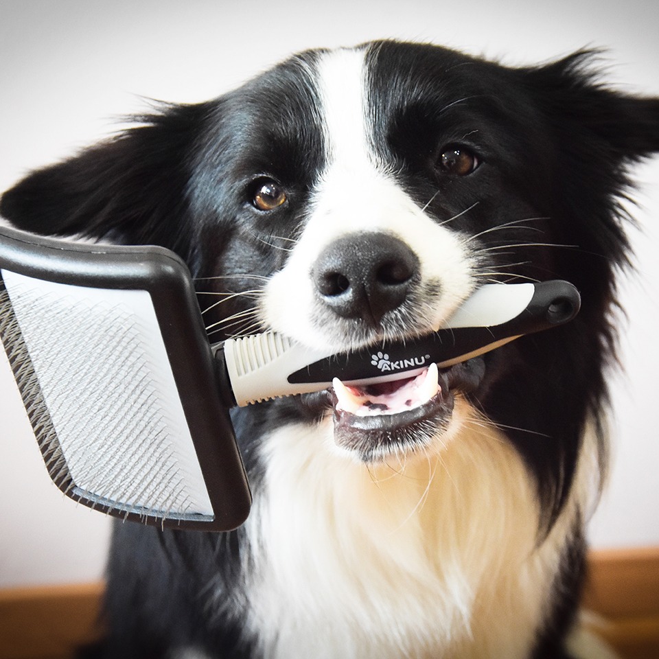 Akinu  vyčesávací kartáč pro dlouhosrsté střední a velké psy Obrázek