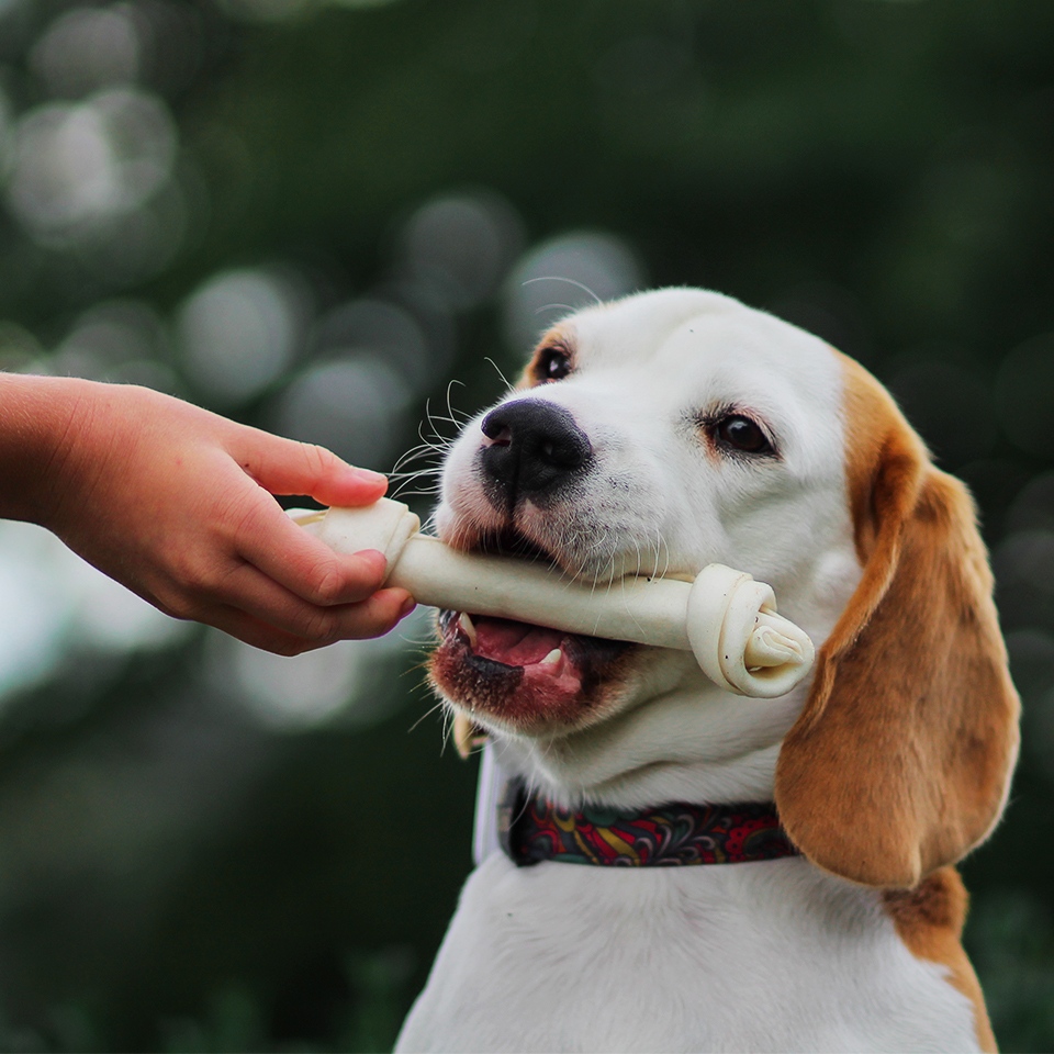 Akinu Uzel bílý 15cm Obrázek