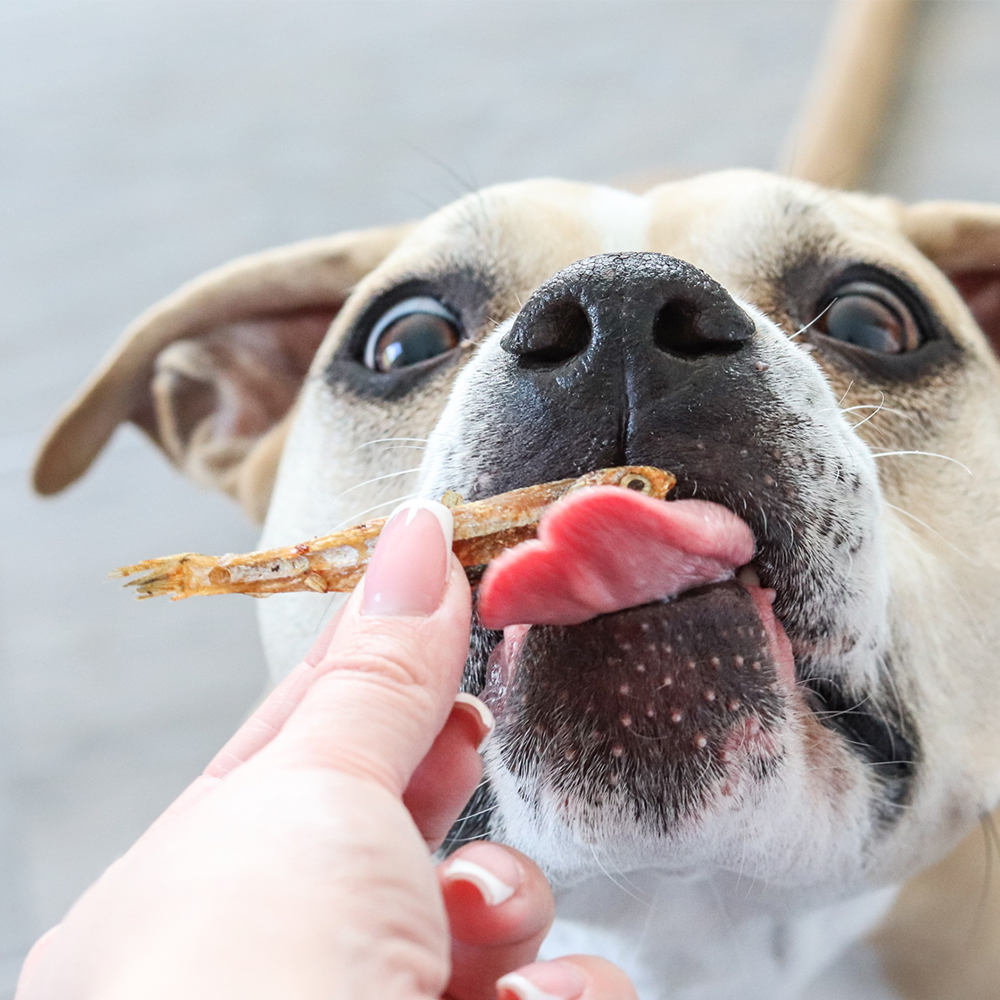Akinu Trénink rybičky 200 g Obrázek