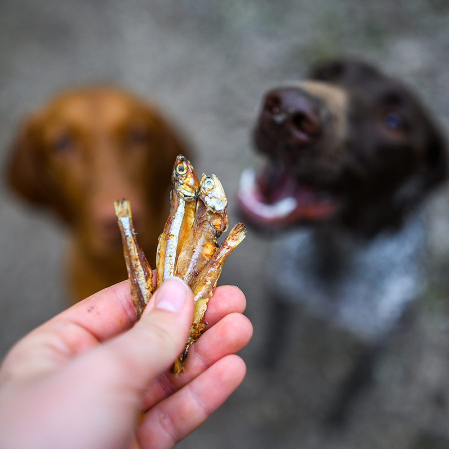 Akinu Trénink rybičky 200 g Obrázek